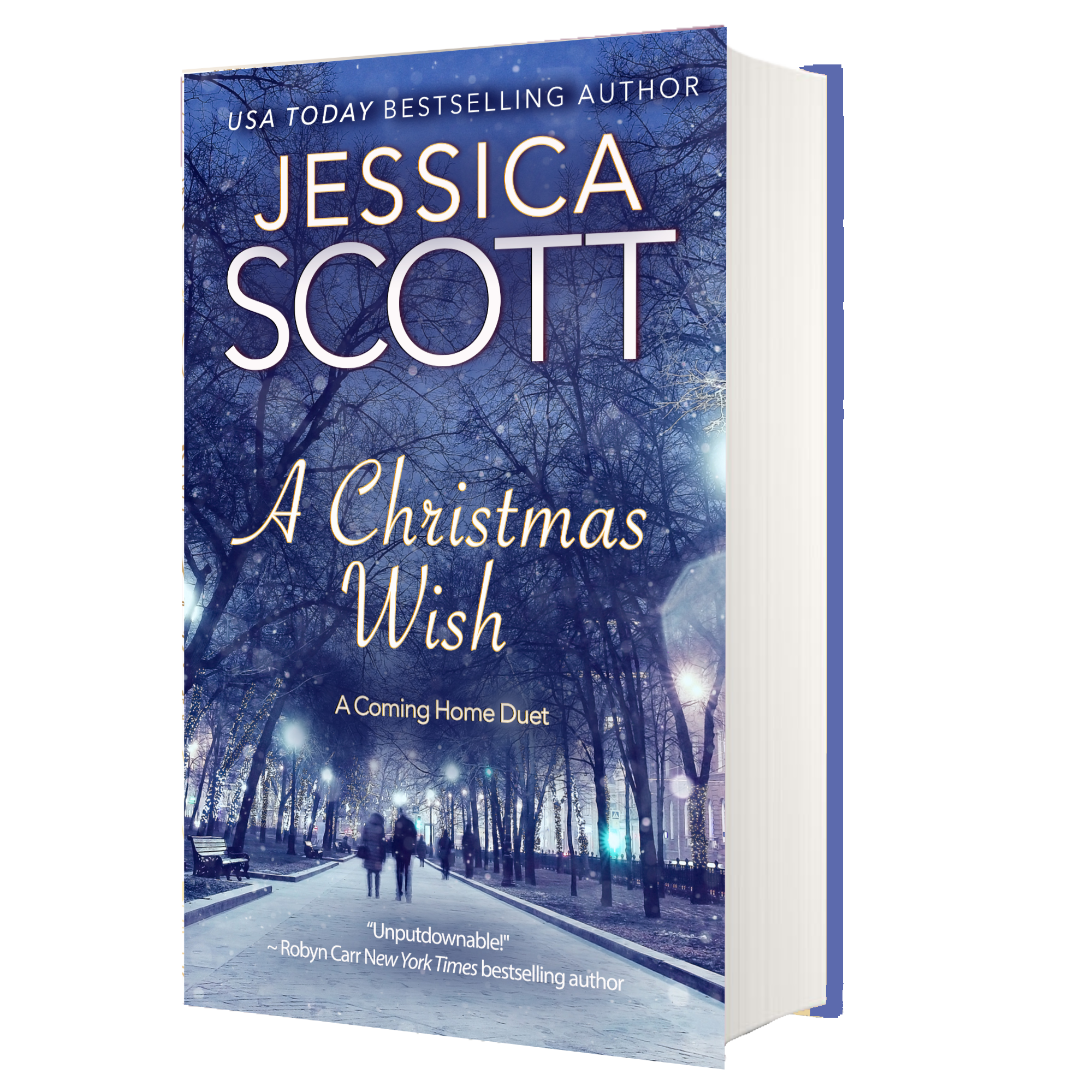 A Christmas Wish: A Coming Home Duet